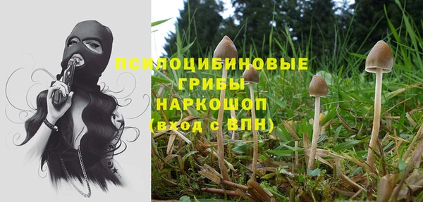 бошки Лихославль