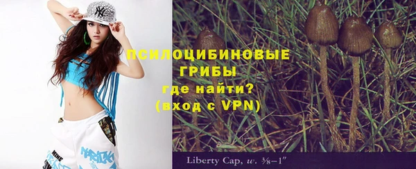 бошки Лихославль