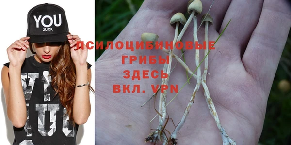 a pvp Липки